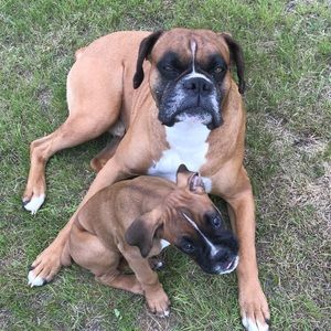 Meet your Posher, Taylor